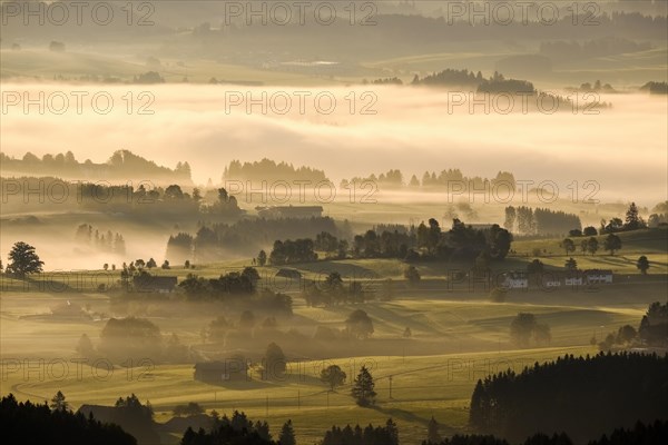 Morning mist over the Lech valley