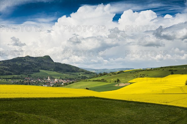 Blooming rape fields and Hegau volcano Hohenhewen