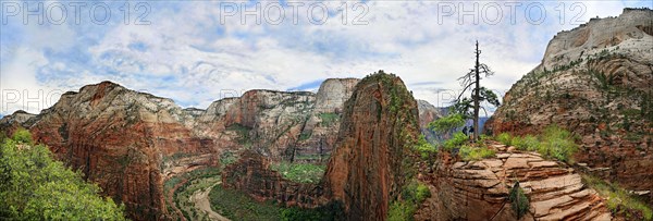 Panorama of Zion Canyon with the rock formation of Angels Landing