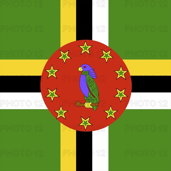 Official national flag of Dominica