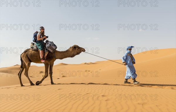 Tourist on a dromedaries with bedouin (Camelus dromedarius)