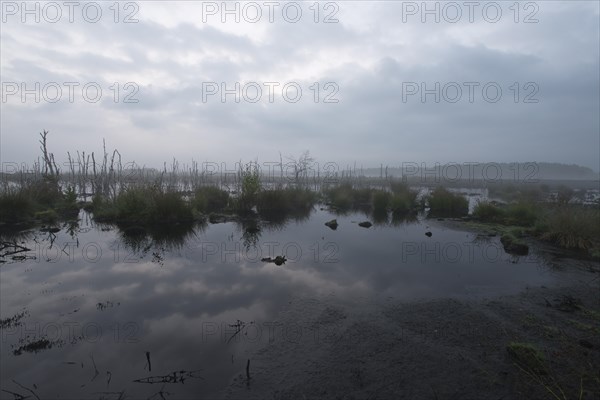 Theikenmeer nature reserve