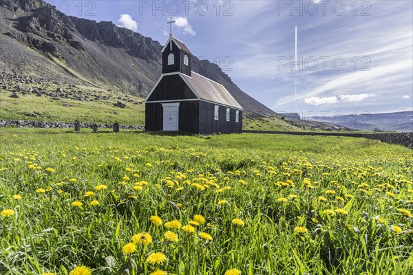 Small wooden church in Dandelion meadow