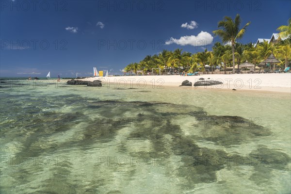 Dream beach with palm trees at the bay of Turtle Bay
