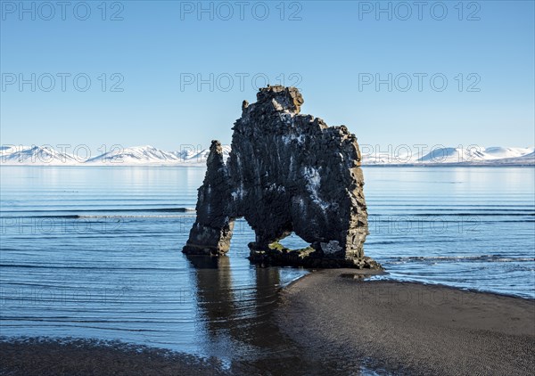 Hvitserkur