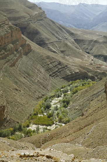 Oasis in the Dades Gorge