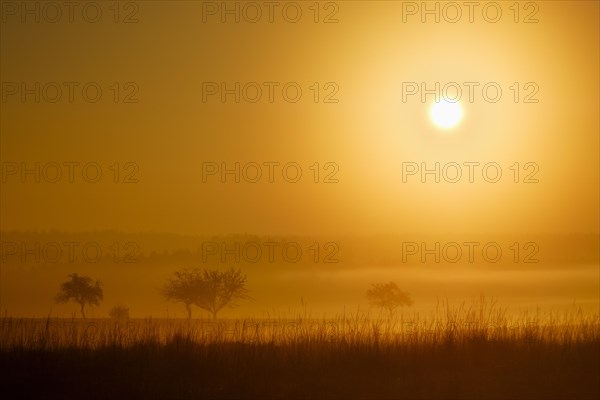 Sunrise in Jachenhausen near Riedenburg