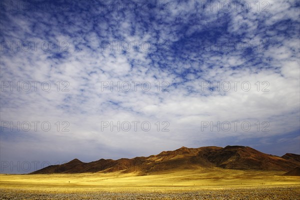 Dune Landscape