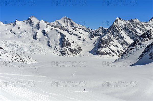 View from the Lotschenlucke over the snow-covered Grosser Aletschfirn towards Konkordiaplatz and the Bernese Alps