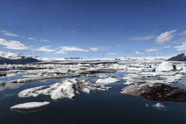 Small icebergs in glacial lake