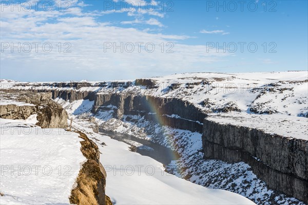 Snowy landscape