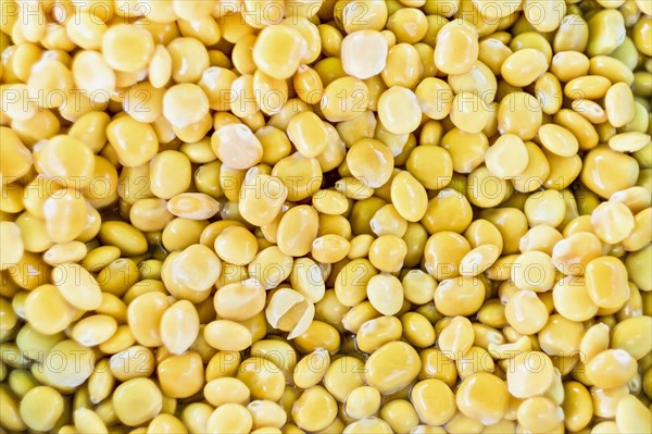 Lupin beans in salted water