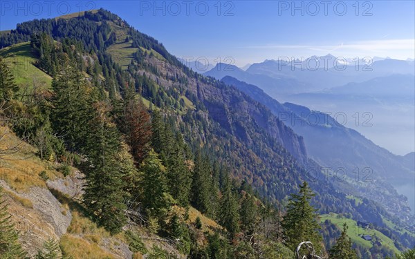 Rigi Bluemlisegg and Rotbalmegg