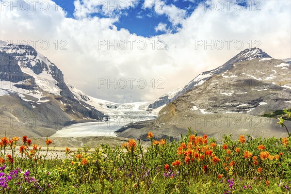 Columbia Icefield with Snow Dome