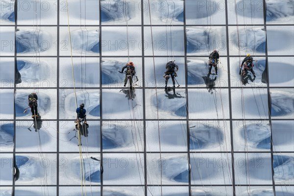 Facade climbers cleaning the windows of the glass facade