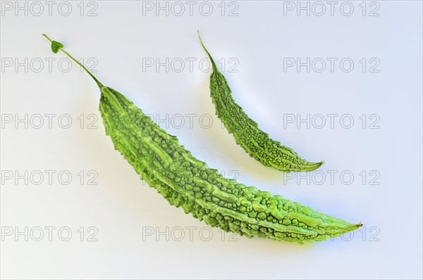 Bitter melon (Momordica charantia)