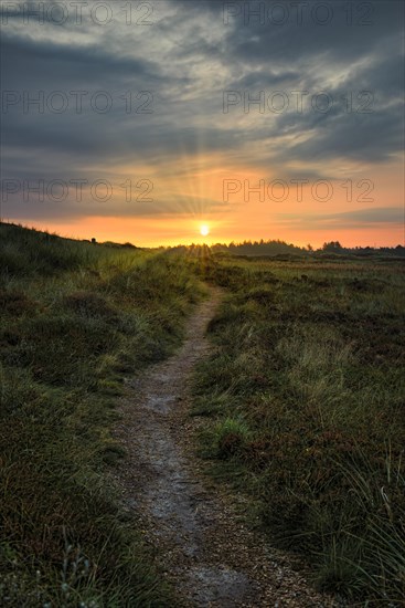 Sunrise with sunbeams over heathland