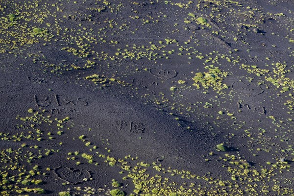 Black volcanic soil with green vegetation