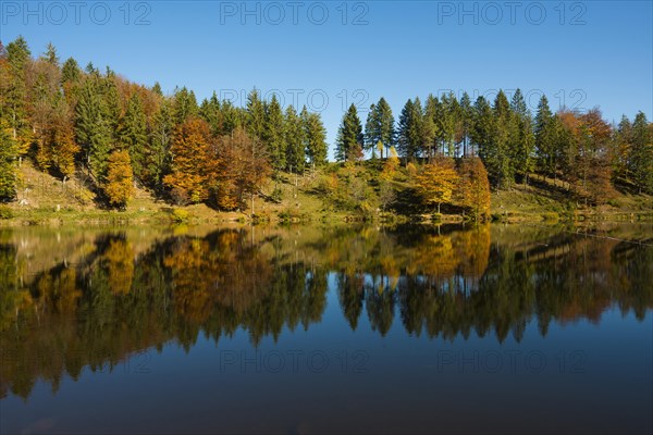 Lake with autumnal forest