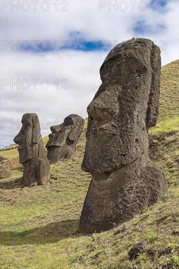 Moais in Rano Raraku