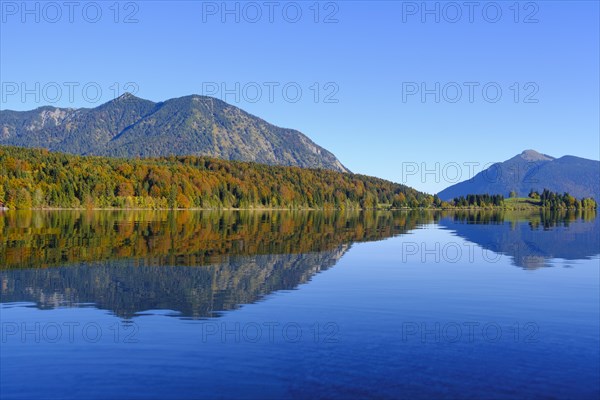 Peninsula Zwergern in autumn at Lake Walchensee