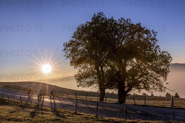 Bikers at sunset on Mont Saleve