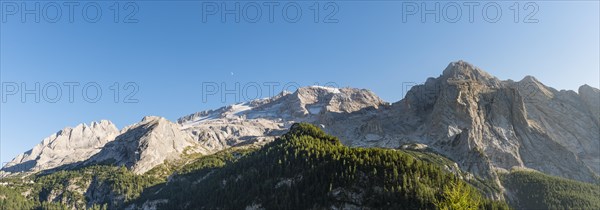 View of the forest and mountains