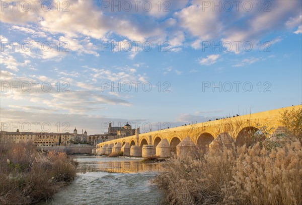 Puente Romano