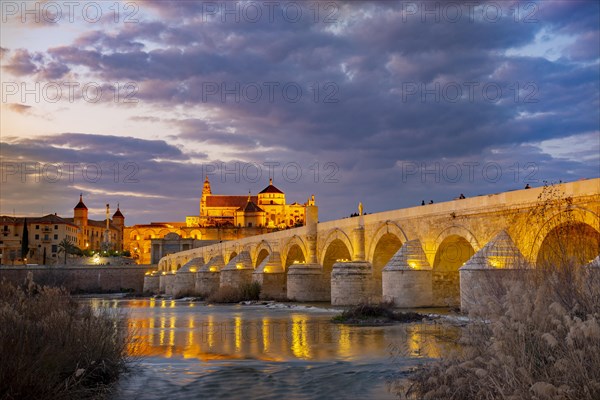 Illuminated Puente Romano