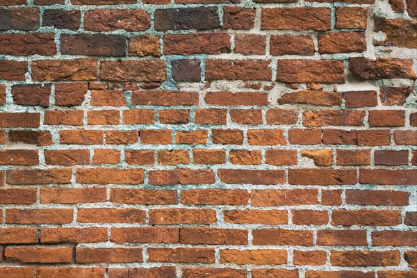 Close-up of red brick wall