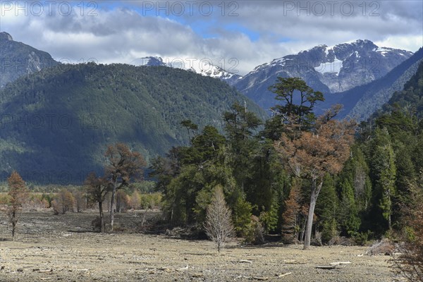 Destroyed forest by a landslide in Villa Santa Lucia