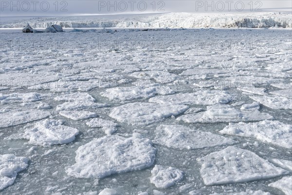 Palanderbukta Bay