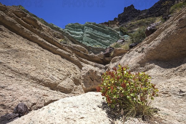 Turquoise colored rock layer Los Azulejos De Veneguera