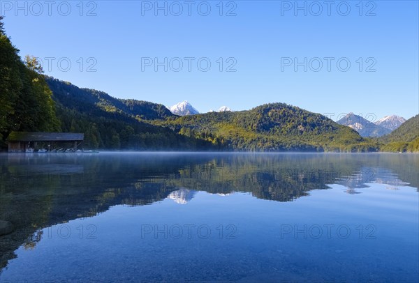 Alpsee