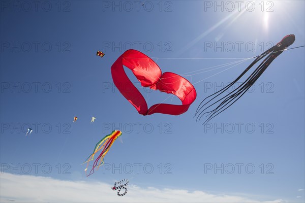 Various kites