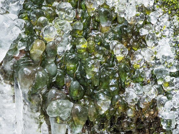 Iced waterfall in winter