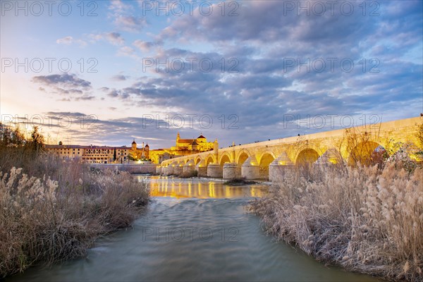 Illuminated Puente Romano