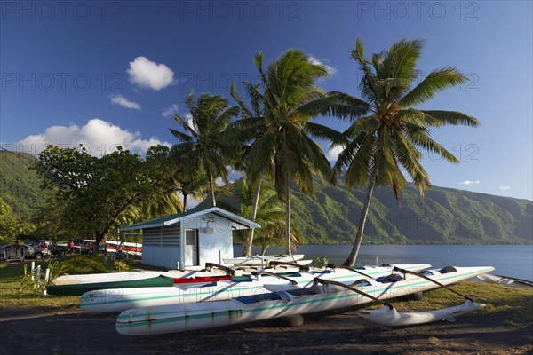 Kayaks on the beach with palm trees