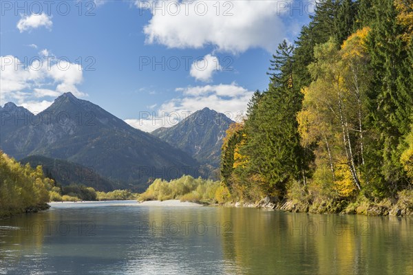 The river Lech with autumnal forest near the Ziegelwiesen