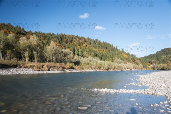 The river Lech with autumnal forest near the Ziegelwiesen