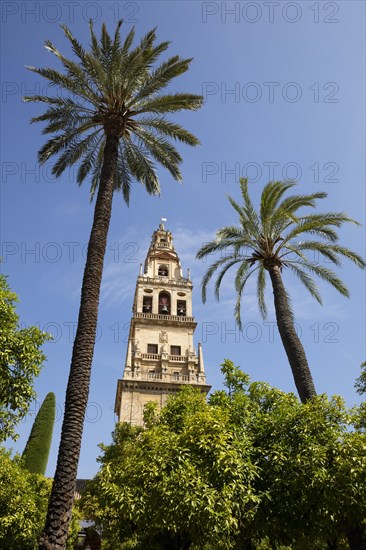 Bell tower Torre del Alminar