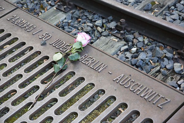 Rose at memorial to the Deportation of Jews from Berlin