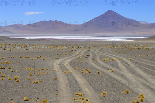 Vehicle tracks to Laguna Colorada