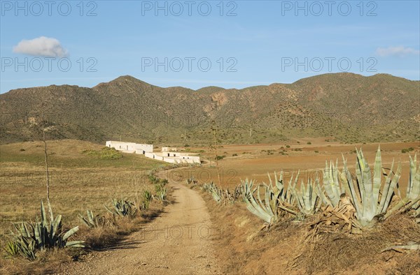 Arid landscape with century plants (Agave americana) and the abandoned farmhouse Cortijo de los Genoveses