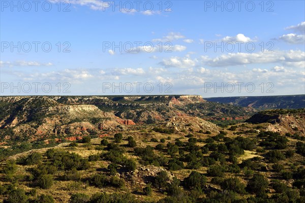 Wide open landscape