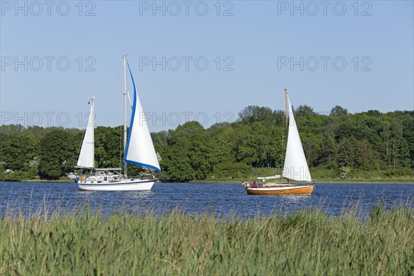 Sailing boats on the Schlei