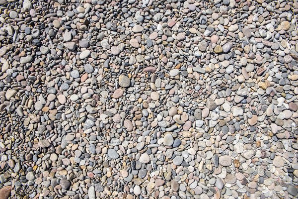 Area of mixed gravel