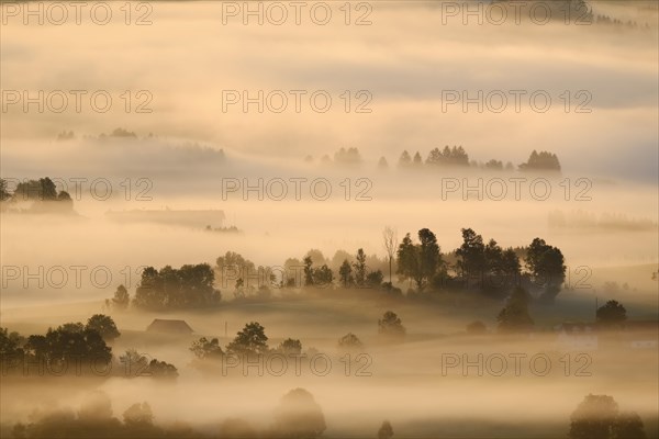 Morning fog