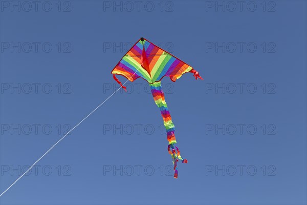 Kite in front of blue sky