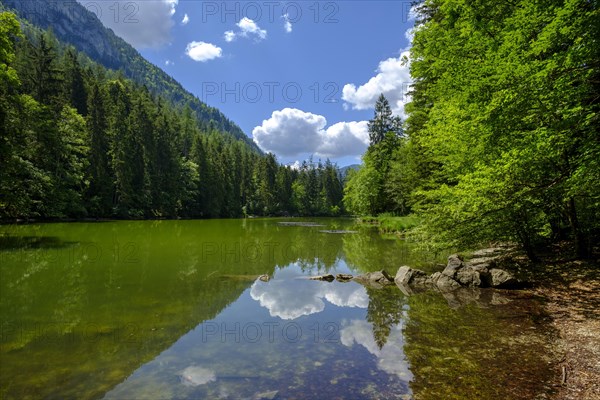 Taubensee near Ruhpolding